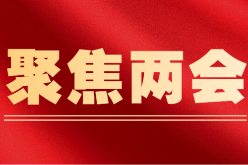 全國人大代表李寅建議（三）丨盡快解決可再生能源電價附加補貼拖欠問題的建議